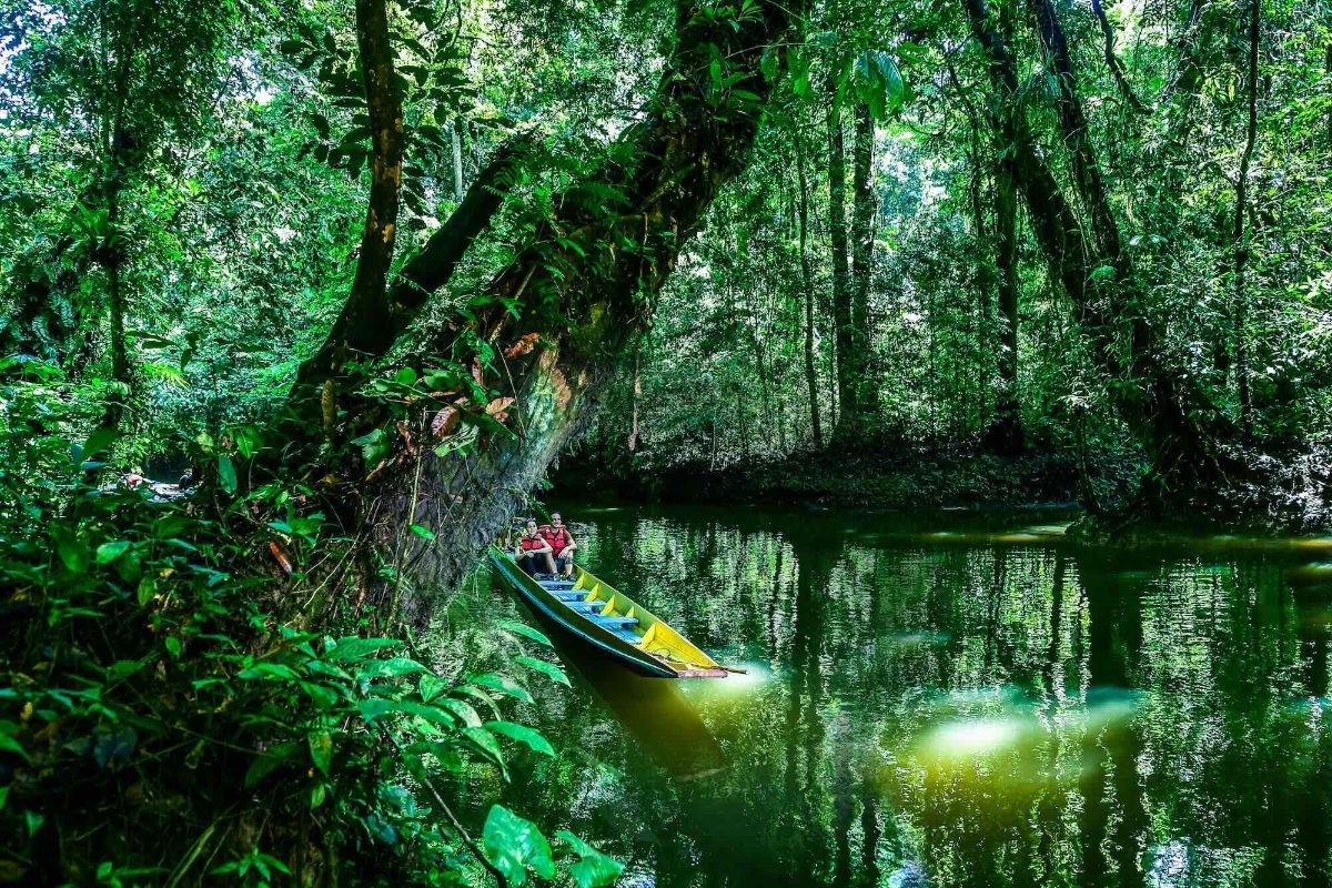 Borneoist guests on a longboat in Mulu National Park