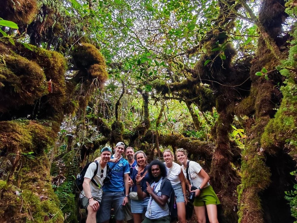 Let’s Go Discovery guests exploring the Mossy Forest