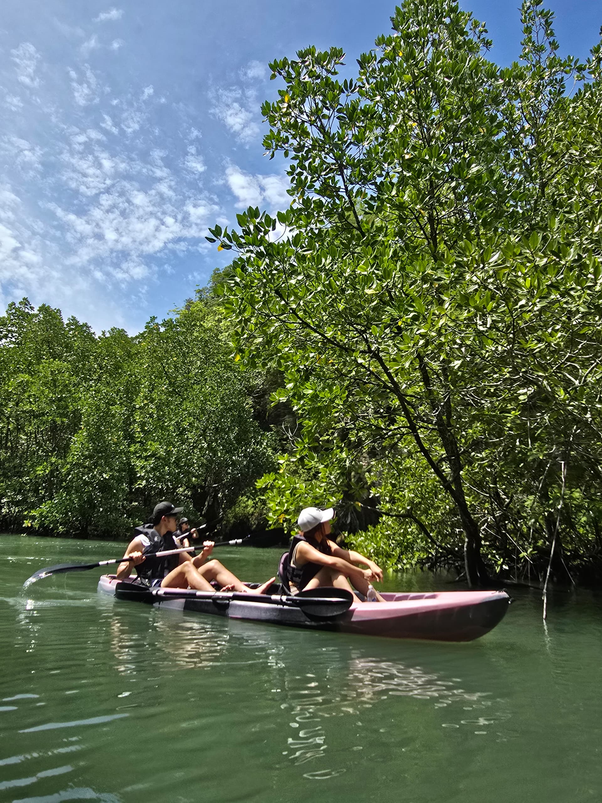 Kayaking the Langkawi mangroves with a tour operator